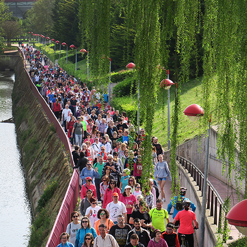 Paseos Saludables en tu comunidad