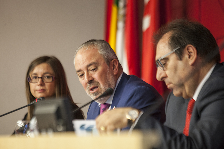 ‘Protección jurídica y derechos de las personas con discapacidad ...