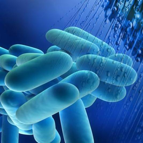 Cursos de formación sanitaria en legionella