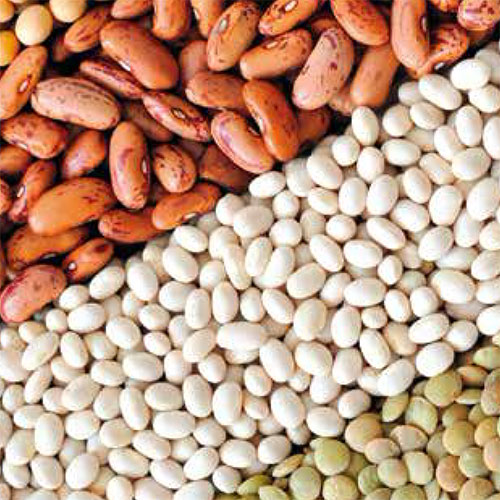 Recetas de legumbres