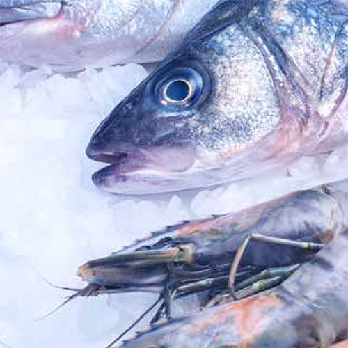 Recetas de pescados