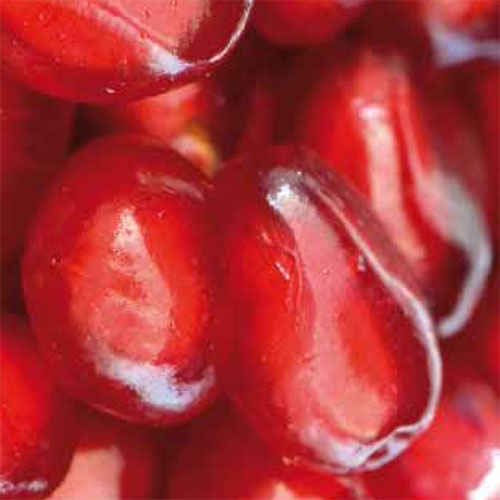 Recetas de postres