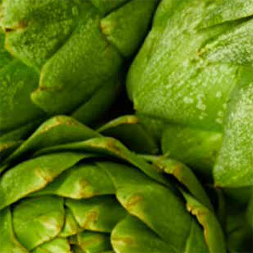 Recetas de verduras
